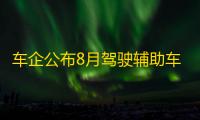 车企公布8月驾驶辅助车型销量，网友：L3比拼提前开始？